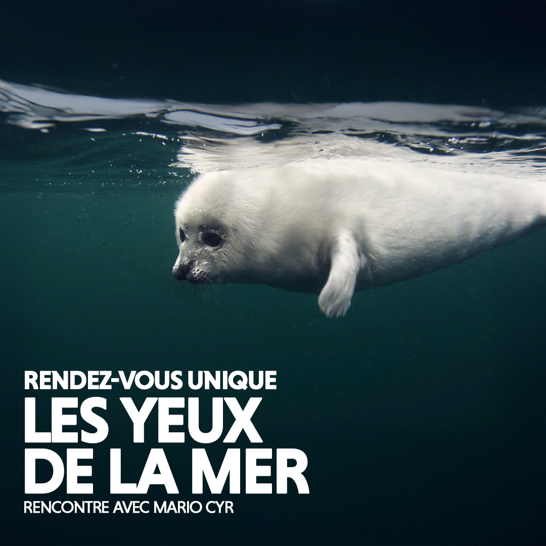 Les Grands Explorateurs – Colombie - Tout en couleur - Le Carré 150, Victoriaville